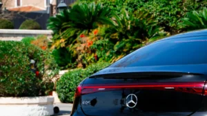 Sabiha Gokcen international arrivals VIP meet